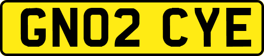 GN02CYE
