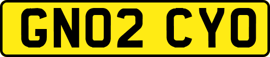 GN02CYO