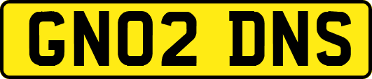 GN02DNS