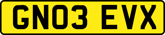 GN03EVX
