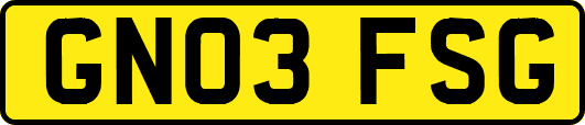 GN03FSG