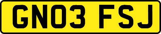 GN03FSJ