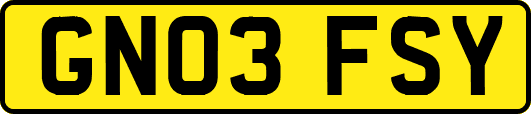 GN03FSY
