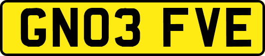 GN03FVE