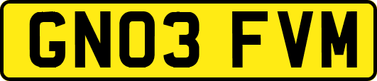 GN03FVM