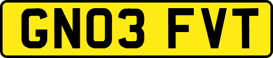 GN03FVT