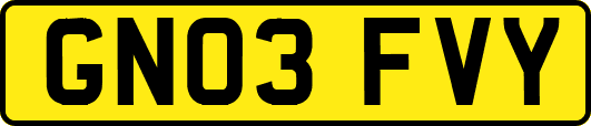 GN03FVY