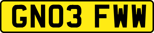 GN03FWW