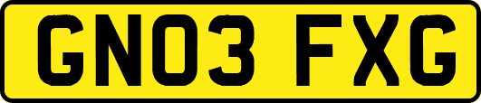 GN03FXG
