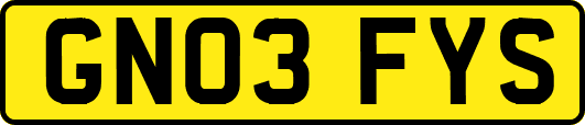 GN03FYS