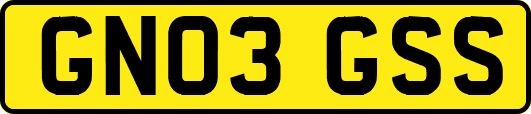 GN03GSS
