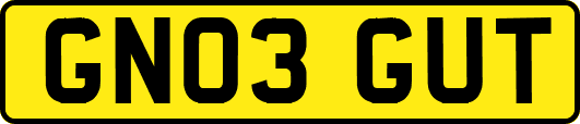 GN03GUT