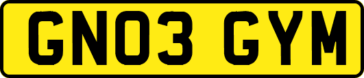 GN03GYM