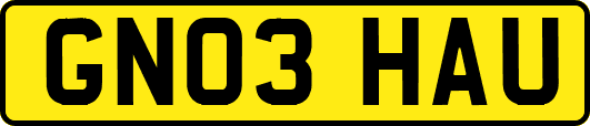 GN03HAU