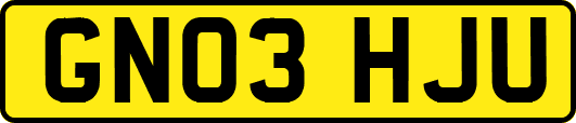 GN03HJU