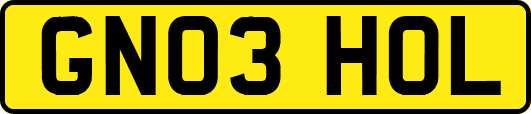 GN03HOL