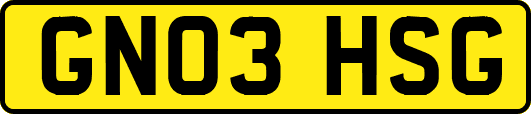 GN03HSG