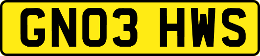 GN03HWS