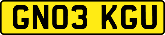 GN03KGU