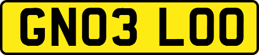 GN03LOO