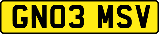 GN03MSV