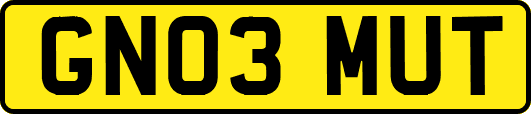 GN03MUT