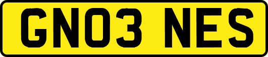 GN03NES