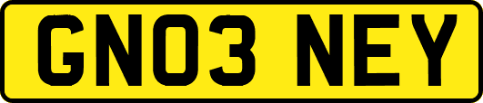 GN03NEY