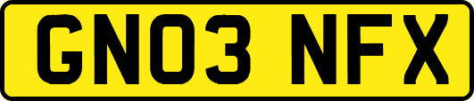 GN03NFX