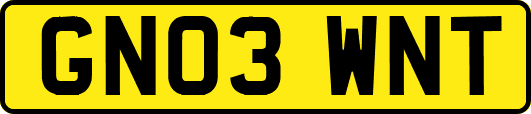 GN03WNT