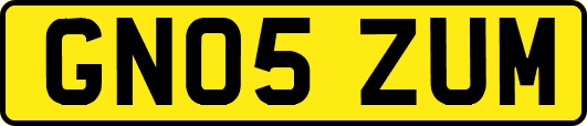 GN05ZUM