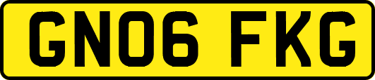 GN06FKG