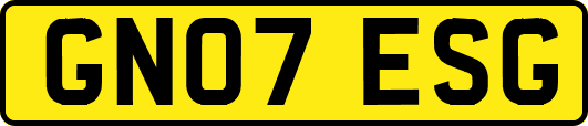GN07ESG