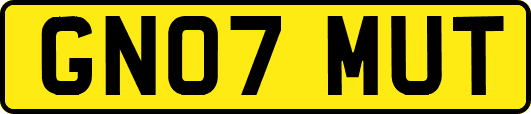 GN07MUT
