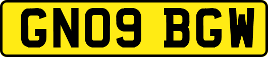 GN09BGW