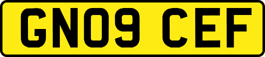 GN09CEF