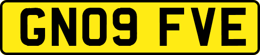 GN09FVE