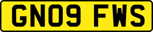 GN09FWS