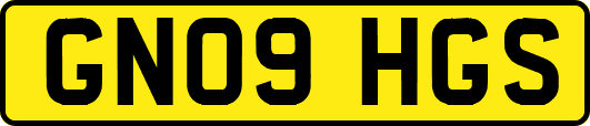 GN09HGS