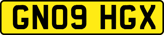 GN09HGX