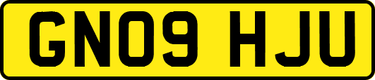 GN09HJU