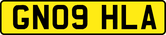 GN09HLA