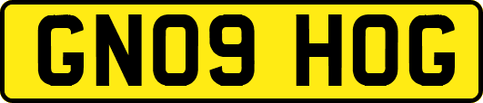 GN09HOG