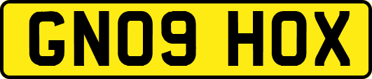GN09HOX