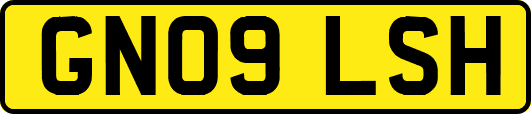 GN09LSH