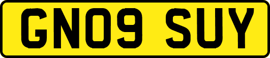 GN09SUY