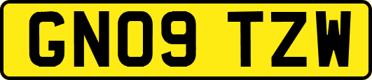 GN09TZW