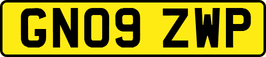 GN09ZWP