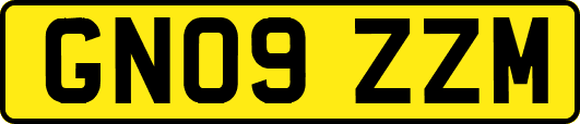 GN09ZZM