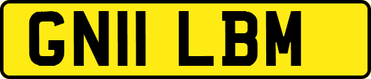 GN11LBM